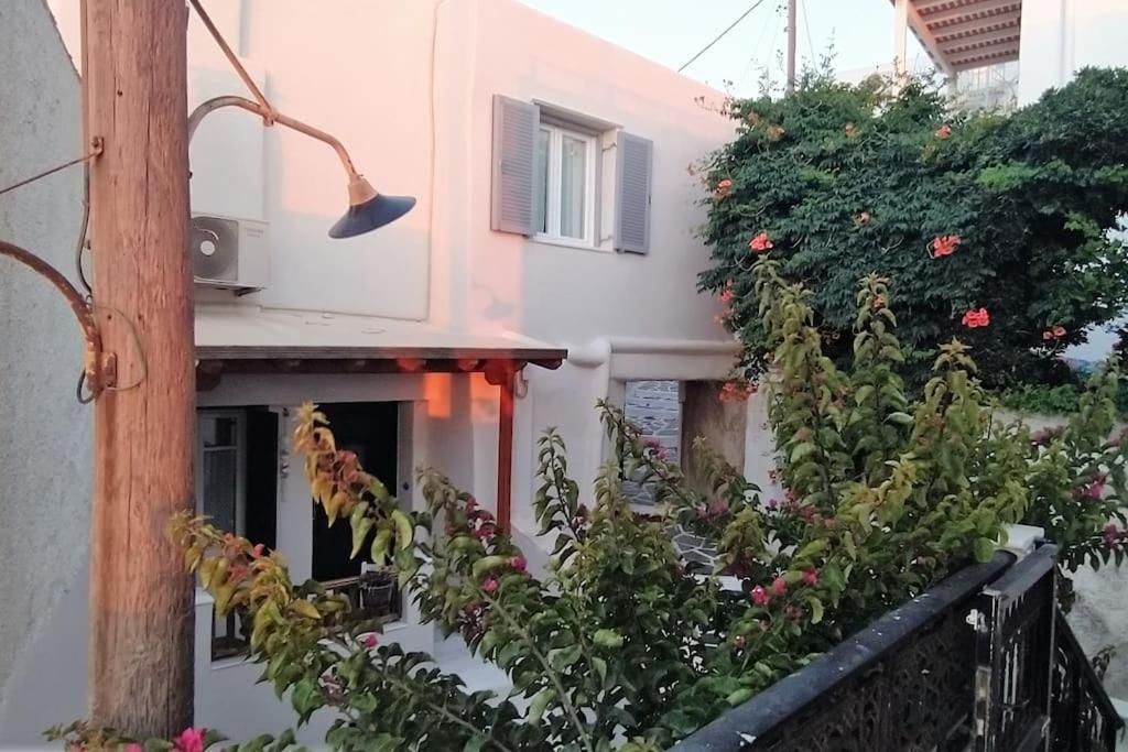 Вілла Naxion Esti - Διαμονή Στην Παλιά Χώρα Της Νάξου Naxos City Екстер'єр фото