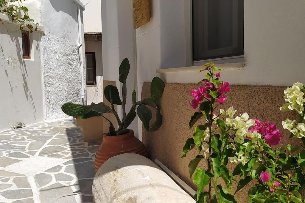 Вілла Naxion Esti - Διαμονή Στην Παλιά Χώρα Της Νάξου Naxos City Екстер'єр фото