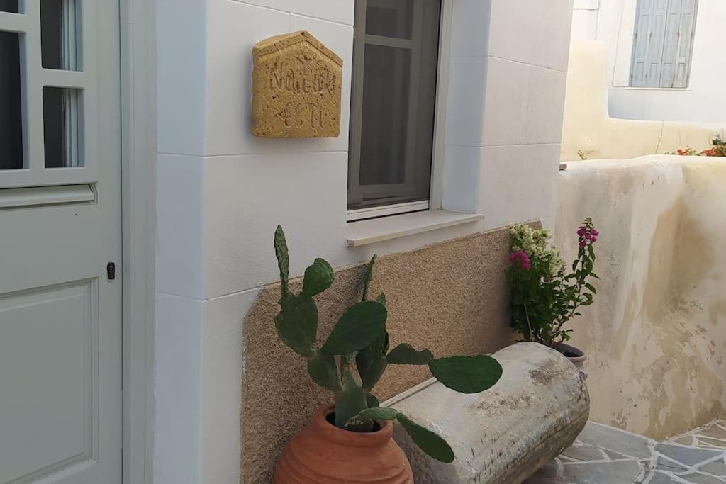 Вілла Naxion Esti - Διαμονή Στην Παλιά Χώρα Της Νάξου Naxos City Екстер'єр фото